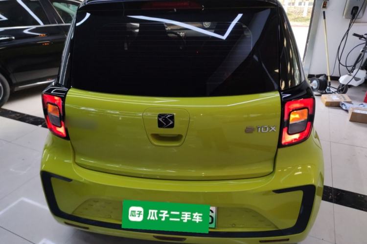 Used SOL E10X 2022 Flower Fairy Design Four-Leaf Clover
