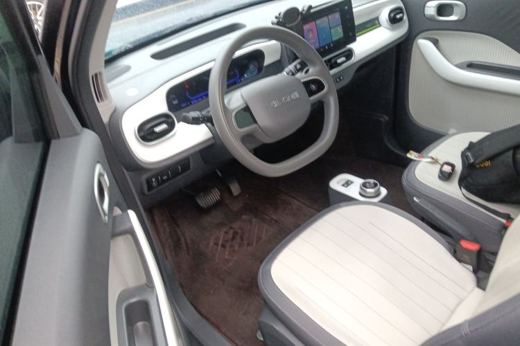 Used  Panda 2024 200km Panda Kart
