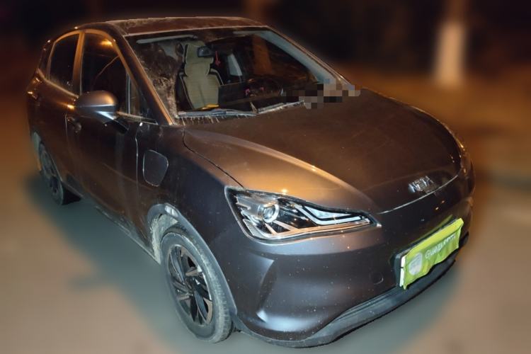 Used NETA V 2021 Long-Range Entertainment Edition