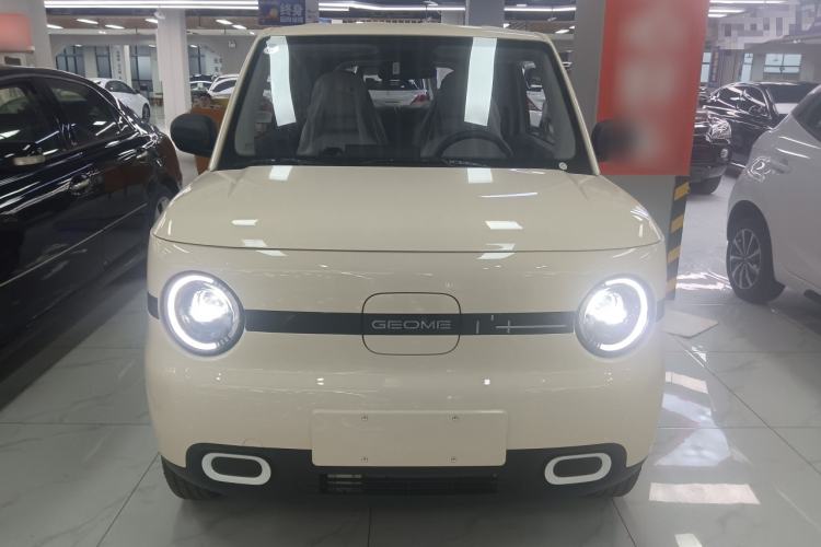 Used  Panda 2025 210 km – Yuanqi Bear