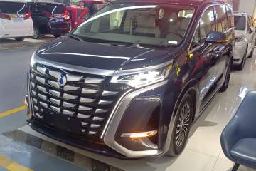 Used Denza D9 2024 DM-i 980 Four-Wheel Drive Flagship Model