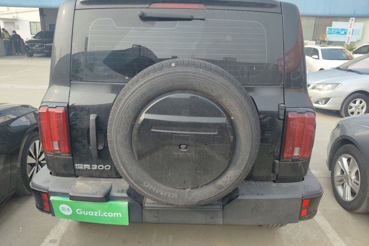 Used Tank 300 2024 2.0T Conqueror
