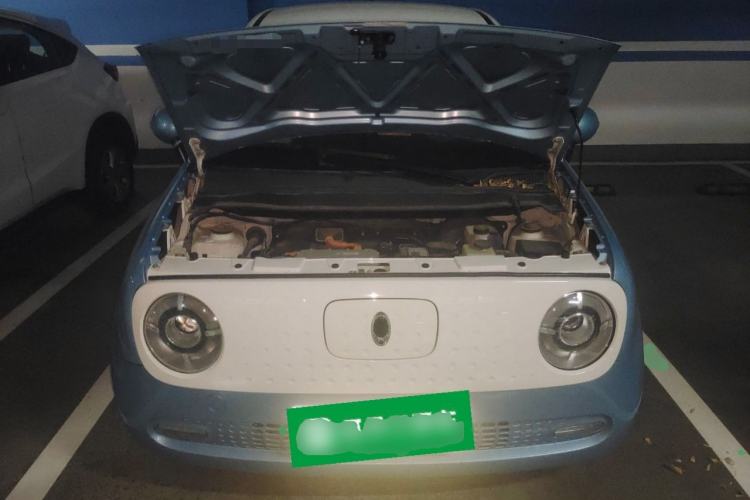 Used ORA Black Cat 2021 351 km Standard Version
