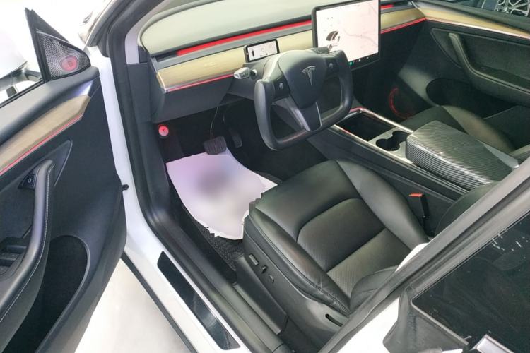 Used Tesla Model Y 2021 Standard Range Rear-Wheel Drive Version
