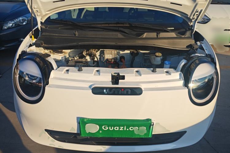 Used  Lumin 2025 205 km Xiangqin Version