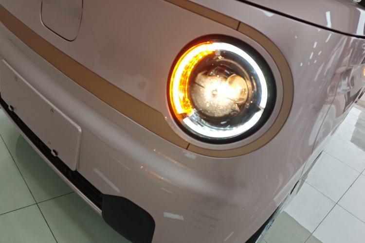 Used  Panda 2024 Panda Mini 200km Endurance Bear