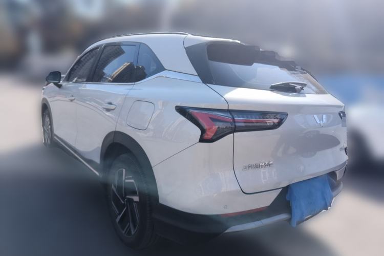 Used Wuling Xingguang S 2024 510km Flagship Edition
