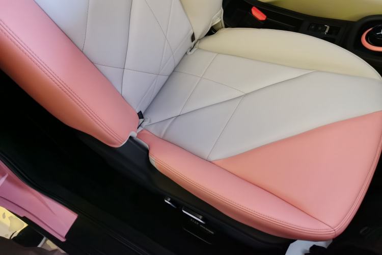 Used Chery Little Ant 2023 251km True Love Edition Lithium Iron Phosphate
