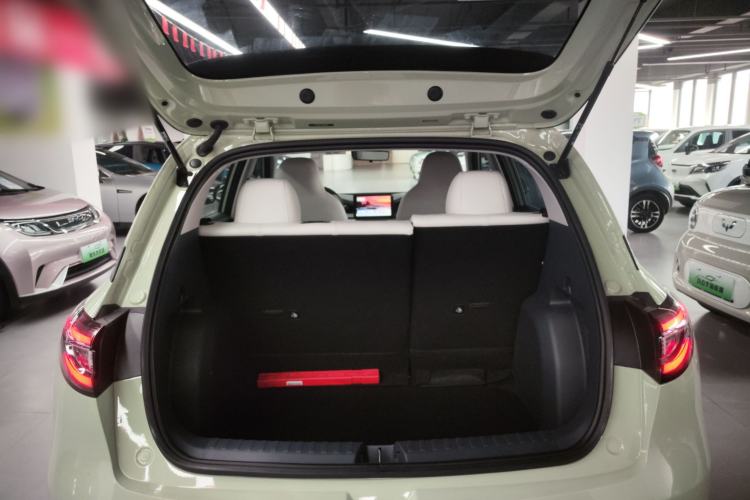 Used  Geome 2025 310km Youth Edition