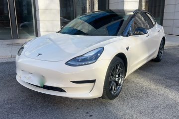 Used Tesla Model 3 2019 Standard Range Rear-Wheel Drive Upgraded Version (52 kWh)