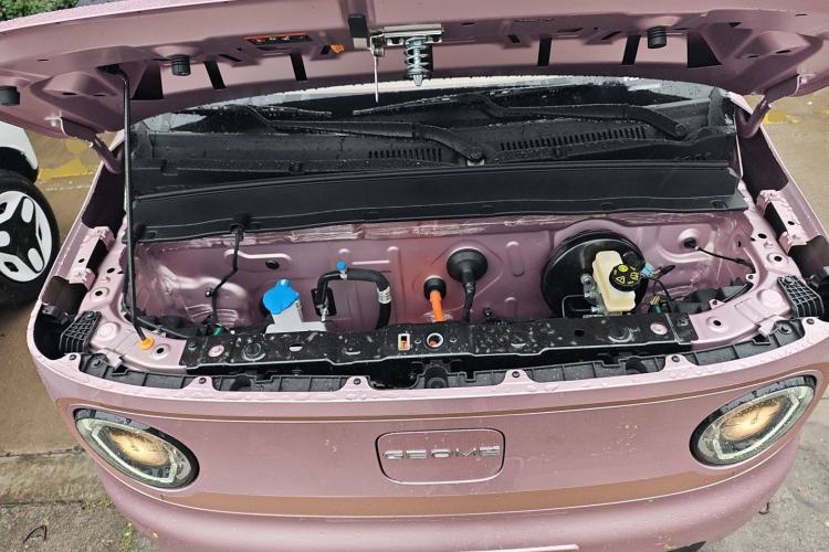 Used  Panda 2024 Panda Mini 200km Endurance Bear
