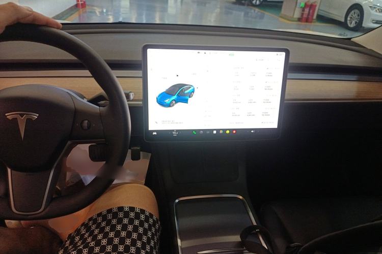 Used Tesla Model 3 2022 Rear-Wheel-Drive Version
