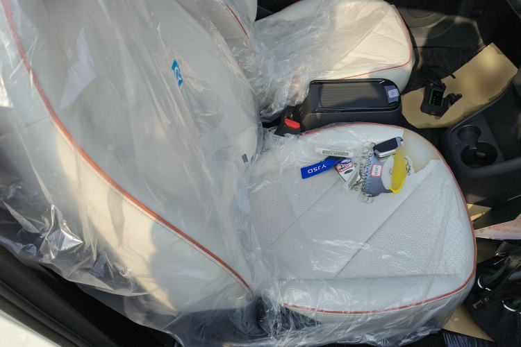 Used Chery Little Ant 2024 Facelifted 321km Beloved Edition