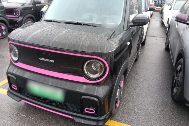 Used  Panda 2024 200km Panda Kart
