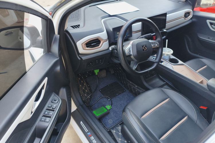 Used SOL E10X 2022 Flower Fairy Design Four-Leaf Clover