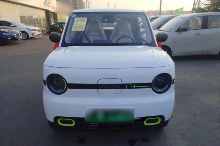 Used  Panda 2025 210 km – Yuanqi Bear