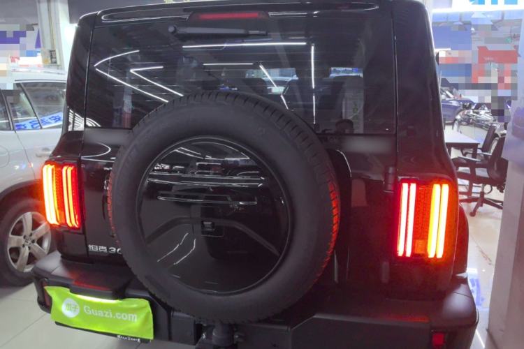 Used Tank 300 2024 2.0T Crosser
