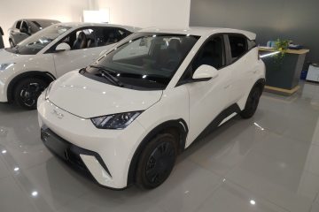 Used BYD Seagull 2025 Intelligent Driving Version 305 km Dynamic Edition