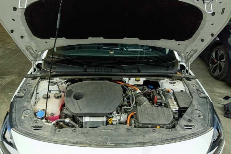 Used  L6 2024 125km PLUS Dragon Edition
