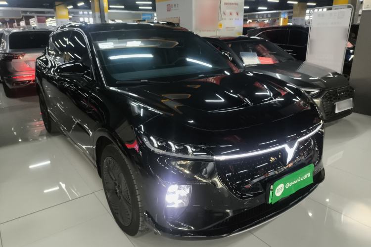 Used VOYAH COURAGE 2024 Four-Wheel Drive Global Edition
