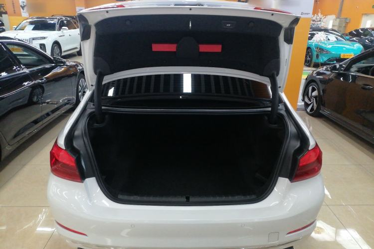 Used BMW 5 Series 2019 525Li Luxury Package