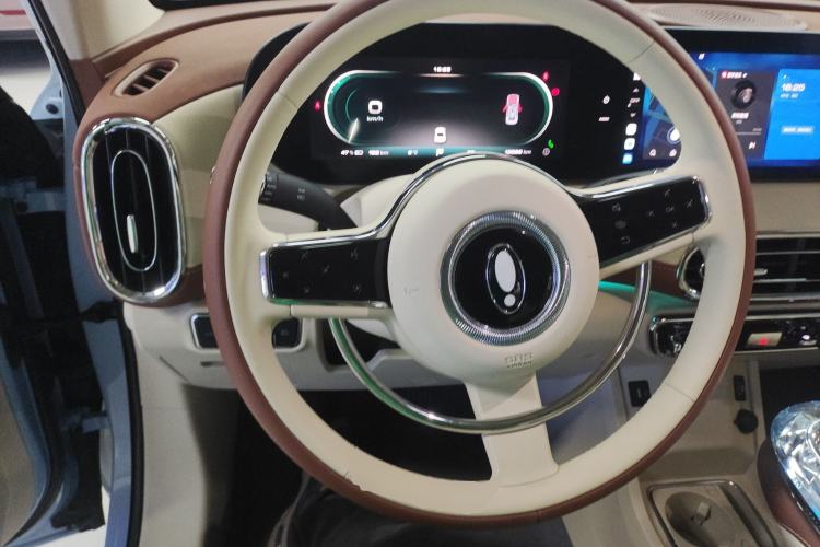 Used ORA Ballet Cat 2023 401 km Luxury Version
