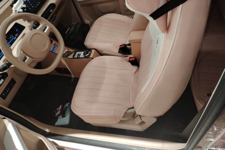 Used  Panda 2024 Panda Mini 200km Longteng PRO Edition
