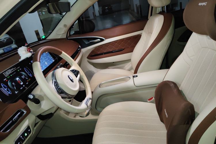 Used ORA Good Cat 2024 501 km Luxury Version