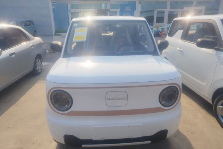 Used  Panda 2024 Panda Mini 200km Endurance Bear
