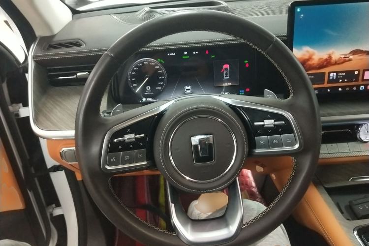 Used Tank 500 New Energy 2024 Hi4-T
