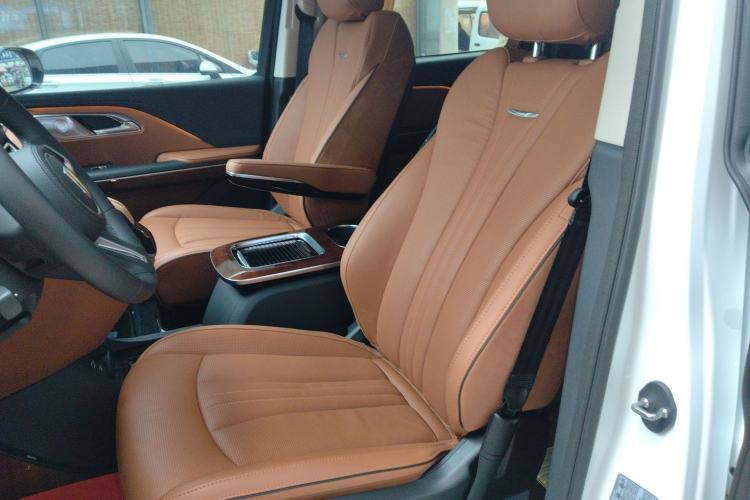 Used Hongqi HQ9 2023 2.0T Smart Connect Flagship Edition