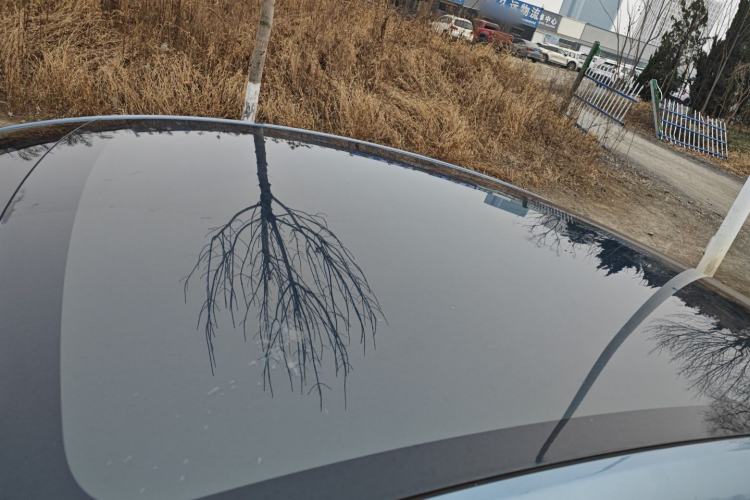 Used Tesla Model Y 2025 Long-Range All-Wheel-Drive Version