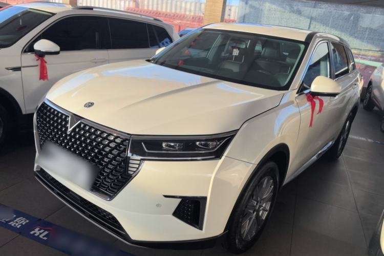 Used Venucia Star 2020 260T Automatic XingShang Edition