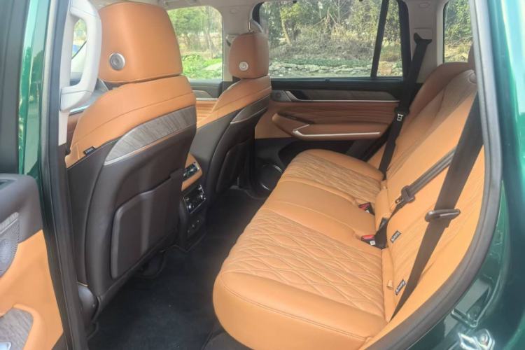 Used Tank 500 New Energy 
