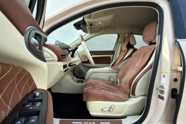 Used ORA Good Cat 2023 401 km Standard Range Luxury Version Lithium Iron Phosphate
