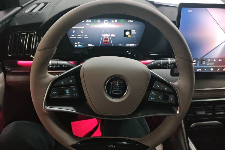 Used BYD Tang New Energy 2025 DM-i 115KM Flagship Model
