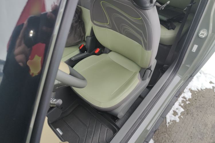 Used  Panda 2024 200km Panda Rider