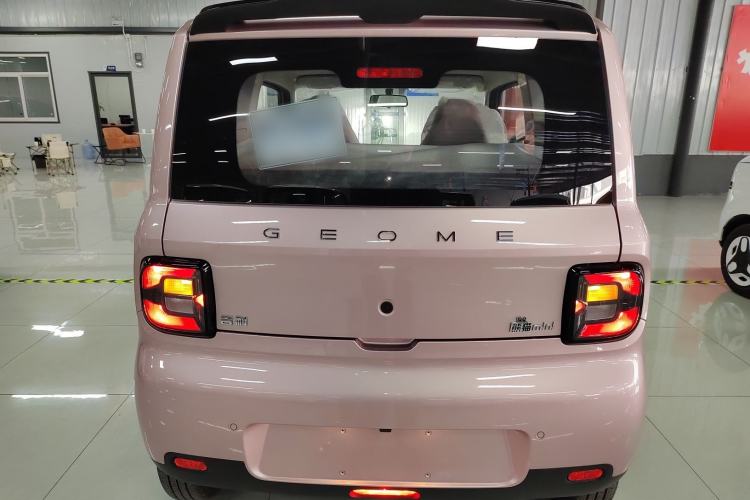 Used  Panda 2025 210 km – Yuanqi Bear
