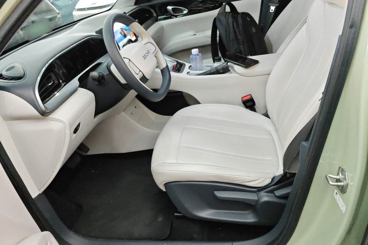 Used  Geome 2025 310km Youth Edition
