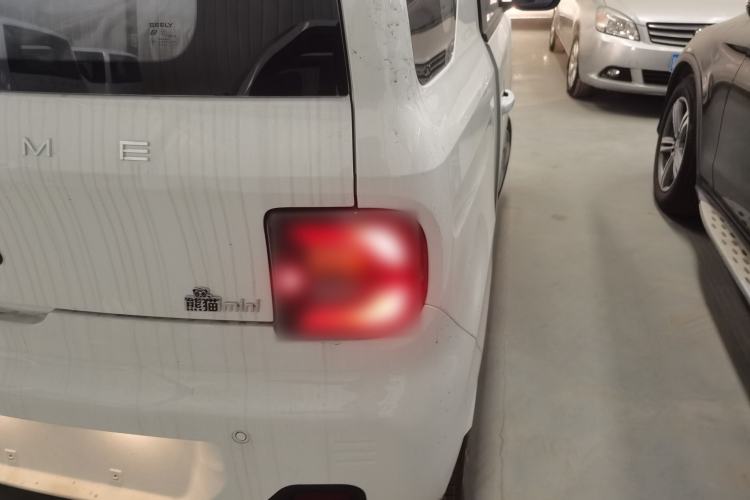 Used  Panda 2024 Panda Mini 200km Endurance Bear
