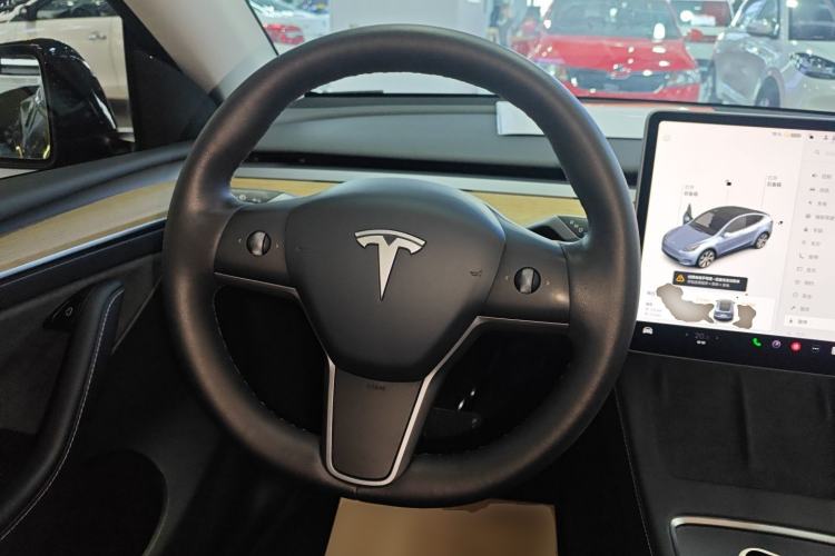 Used Tesla Model Y 2021 Standard Range Rear-Wheel Drive Version
