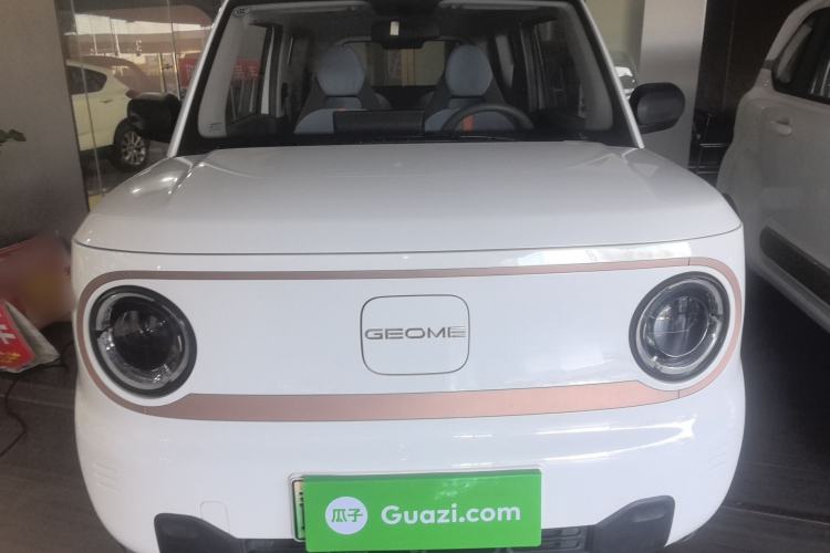 Used  Panda 2024 Panda Mini 200km Endurance Bear
