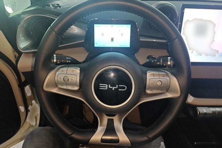 Used BYD Dolphin 2025 420km Free Edition
