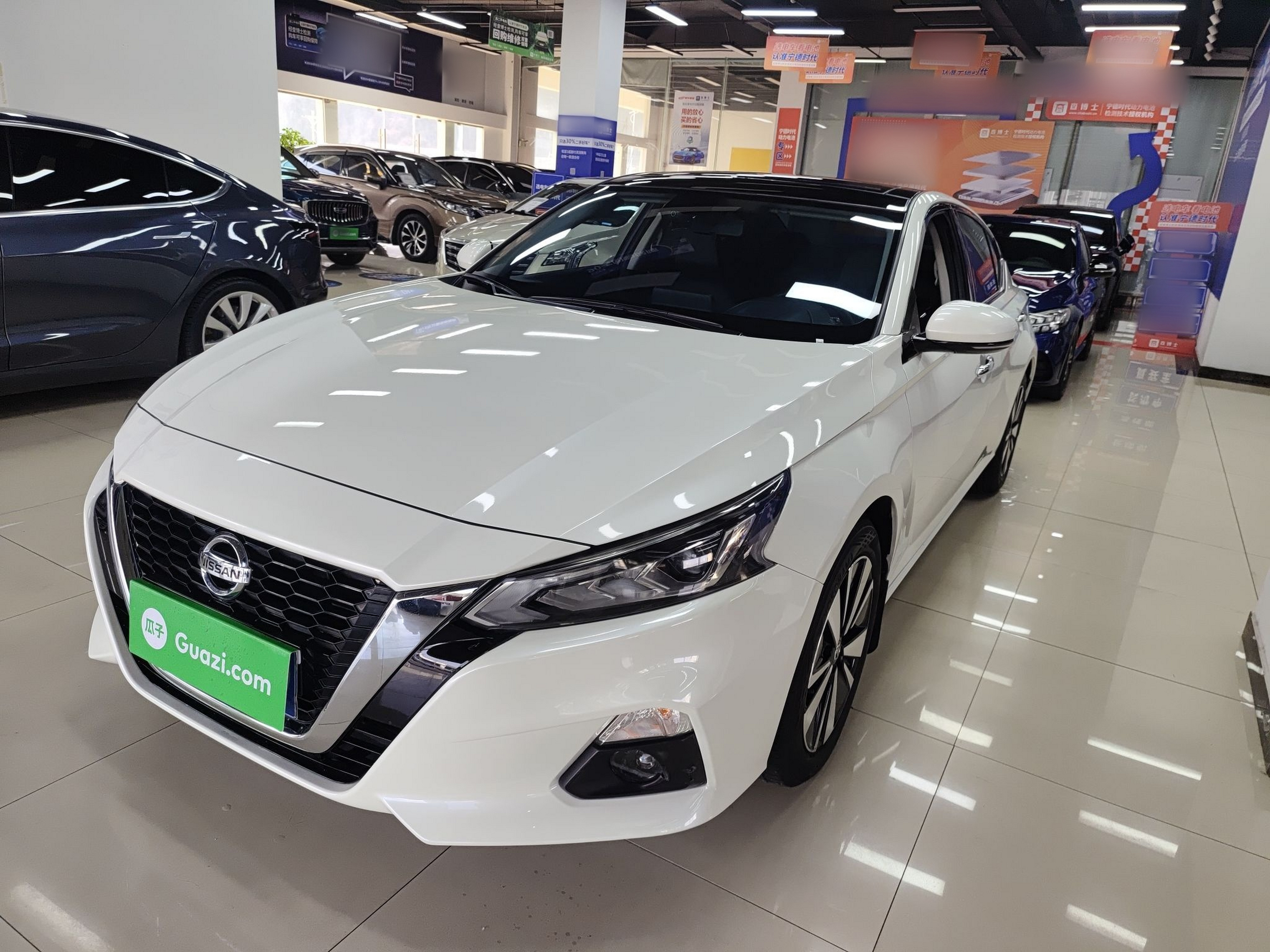 تحت مقدمة السيارة