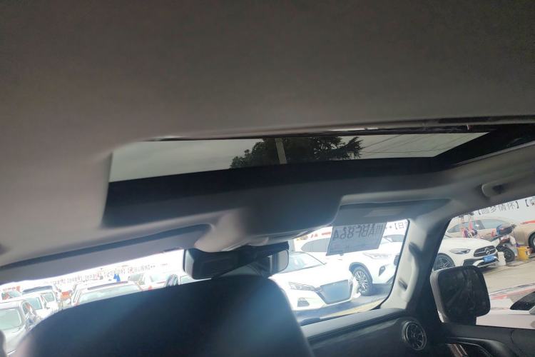 Used Tank 300 2024 2.0T Conqueror
