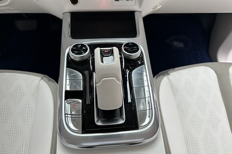 Used  Tank 300 2021 2.0T Cyber Tank
