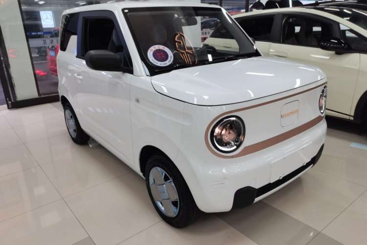 Used  Panda 2023 Panda Mini 200km Endurance Bear
