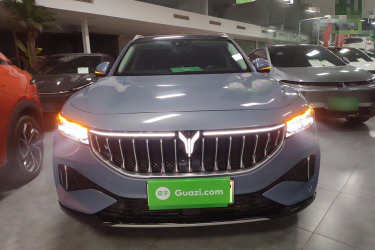 Used VOYAH FREE 2021 Four-Wheel Drive Standard Range-Extended Exclusive Luxury Package
