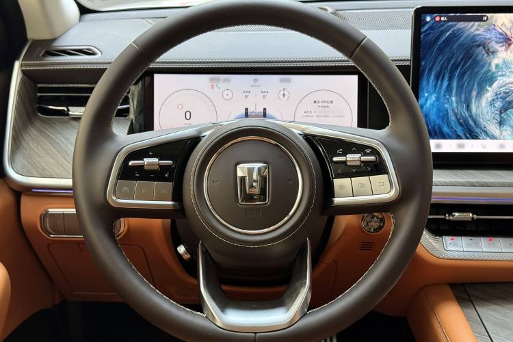 Used Tank 500 New Energy 2025 Hi4-Z
