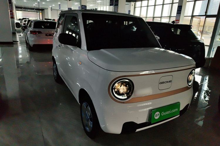 Used  Panda 2024 Panda Mini 200km Endurance Bear
